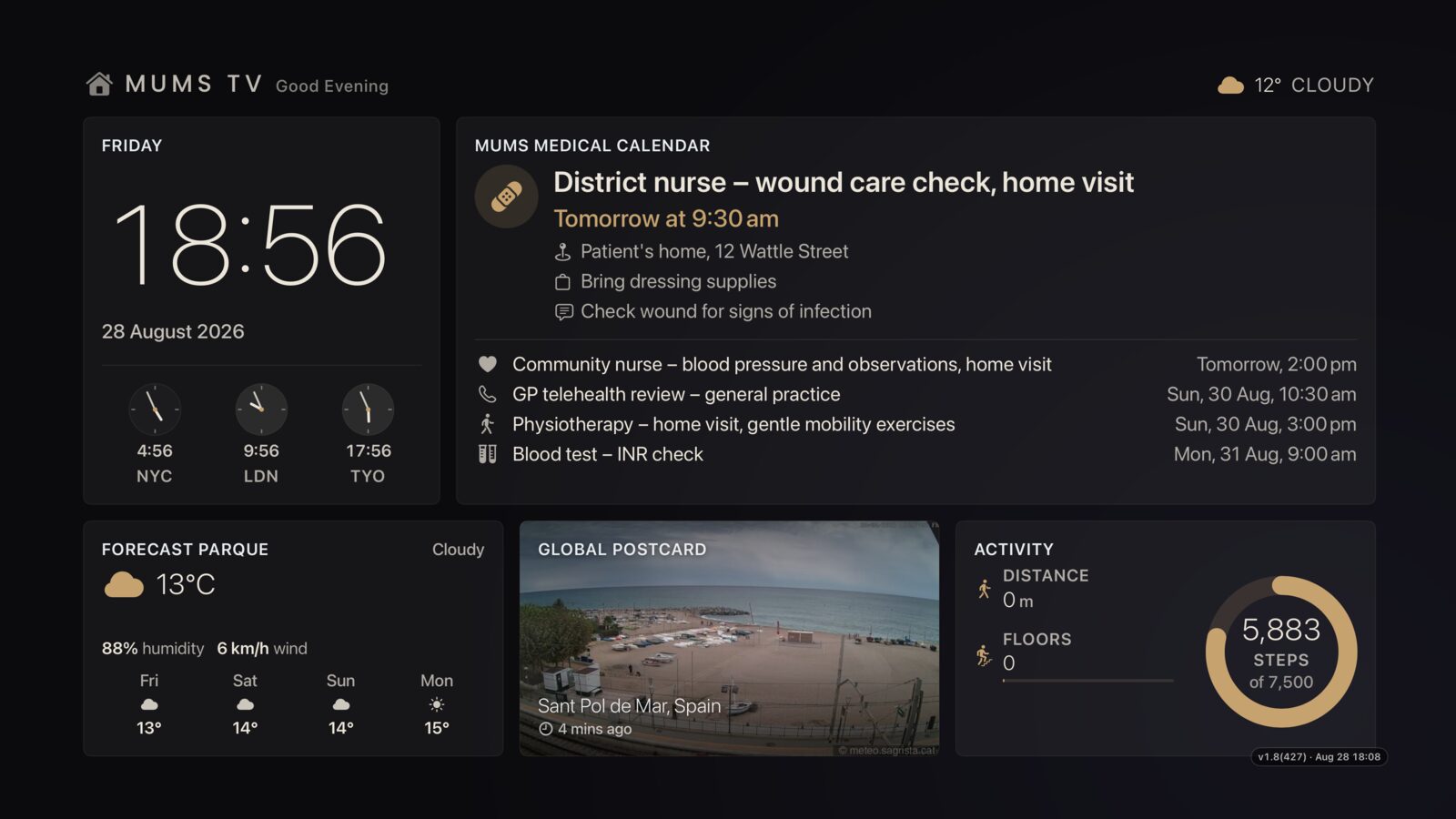 The same Theatrium dashboard in dark mode, with the Appointments card showing the same District nurse wound care home visit, alongside the clock, weather, webcam and activity cards