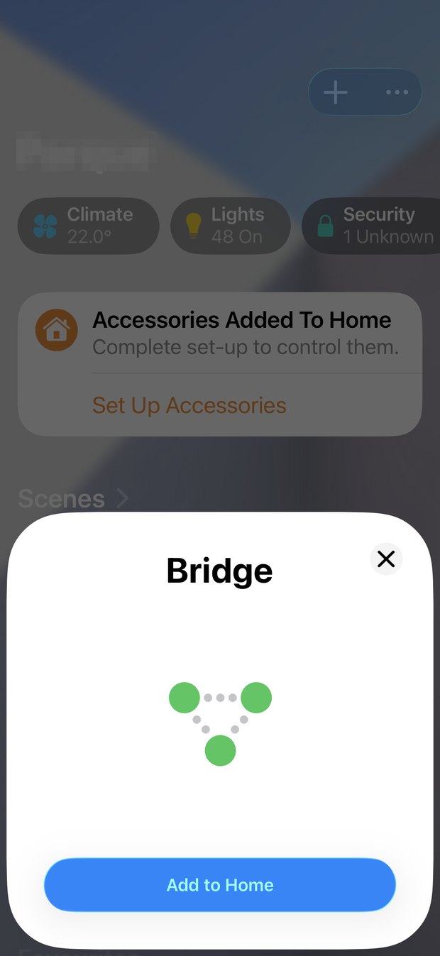 The Bridge sheet on iPhone with an Add to Home button.
