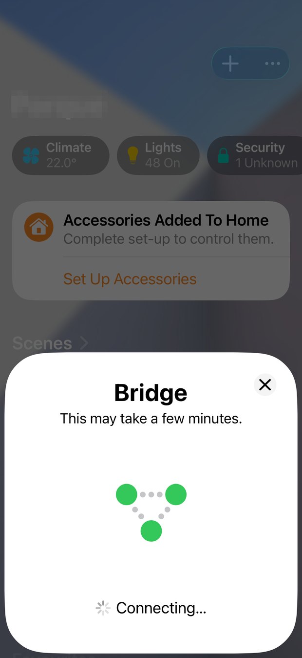 The Bridge sheet reading This may take a few minutes, Connecting.