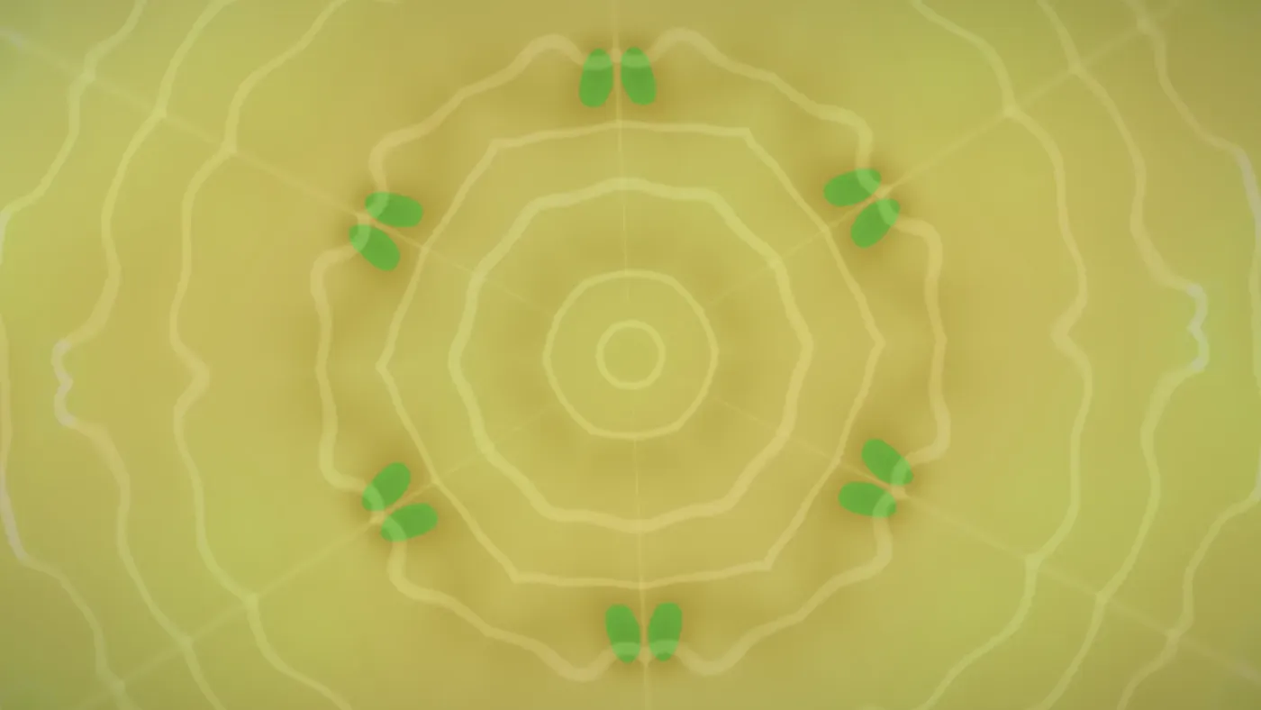 Kaleidoscope. Pro.